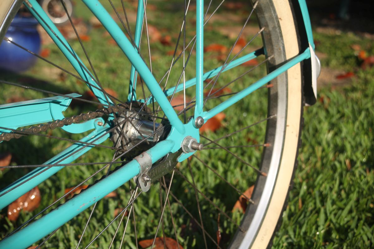 coaster brake bike